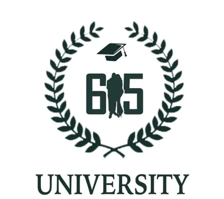 615 University 1:1 Mentorship